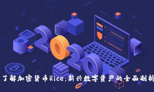 了解加密货币Rice:新兴数字资产的全面剖析