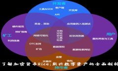 了解加密货币Rice:新兴数字资产的全面剖析
