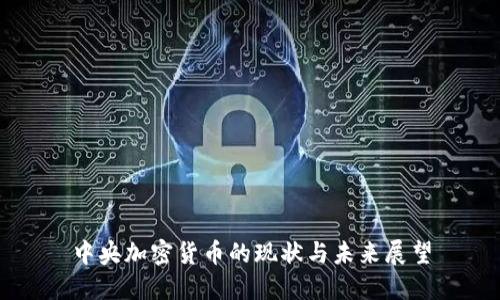 中央加密货币的现状与未来展望