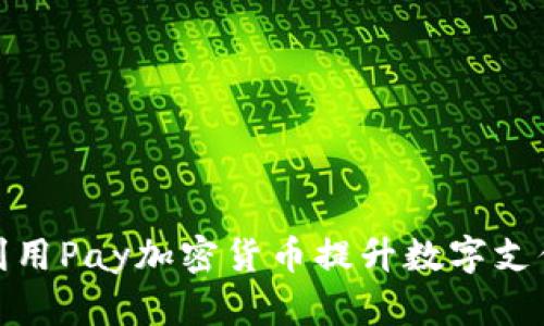 如何利用Pay加密货币提升数字支付体验