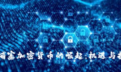 柬埔寨加密货币的崛起:机遇与挑战