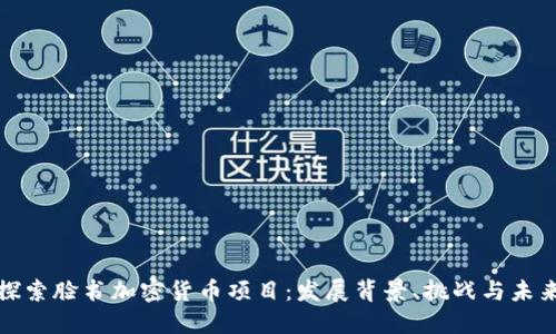 探索脸书加密货币项目：发展背景、挑战与未来
