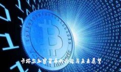 卡塔尔加密货币的兴起与未来展望