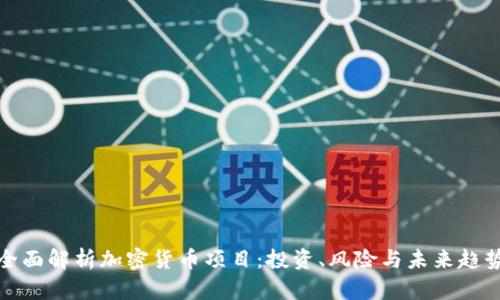 全面解析加密货币项目:投资、风险与未来趋势
