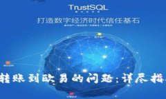 如何解决TP钱包转账到欧易的问题:详尽指南及