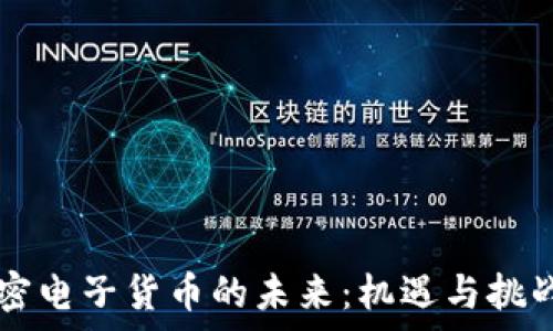 加密电子货币的未来:机遇与挑战分析
