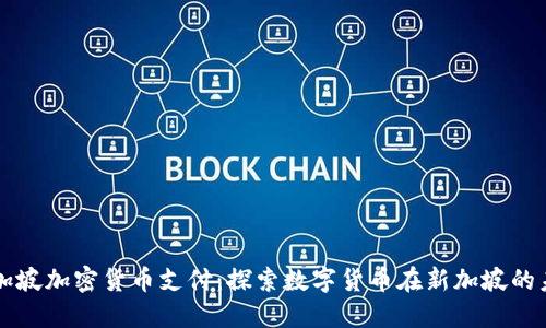 新加坡加密货币支付：探索数字货币在新加坡的未来