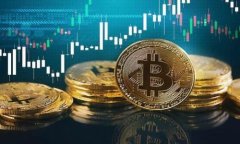 如何找回丢失的TP钱包私钥:全面指南与解决方案