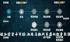 开放加密货币市场：机遇与挑战并存的投资新领