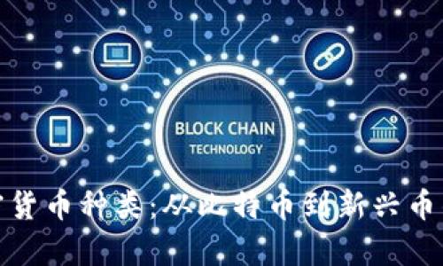 : 揭秘加密货币种类:从比特币到新兴币的全面解析