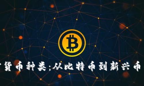 : 揭秘加密货币种类:从比特币到新兴币的全面解析