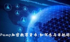 揭秘Pump加密数字货币:如何参与并规避风险