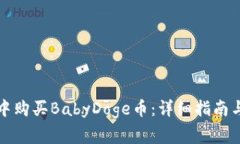 如何在TP钱包中购买BabyDoge币:详细指南与常见问