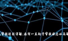 TP钱包审核进程详解:为何一直处于审核状态以