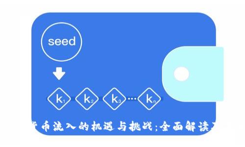 美元加密货币流入的机遇与挑战:全面解读及未来展望