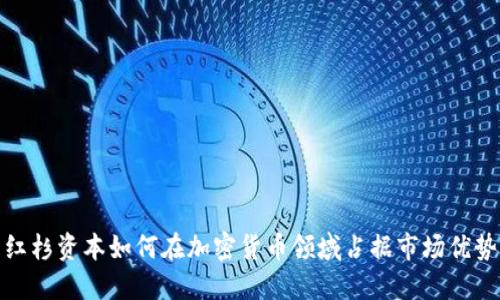 红杉资本如何在加密货币领域占据市场优势