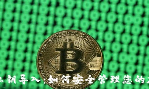 TP钱包私钥导入:如何安全管理您的加密资产