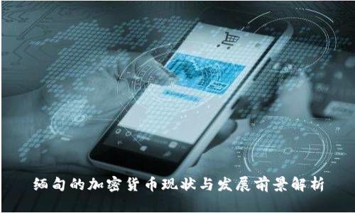 缅甸的加密货币现状与发展前景解析