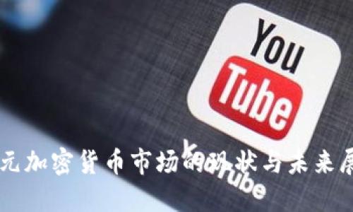 美元加密货币市场的现状与未来展望
