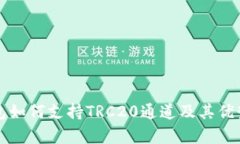 TP钱包如何支持TRC20通道及其优势解析