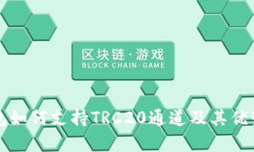 TP钱包如何支持TRC20通道及其优势解析