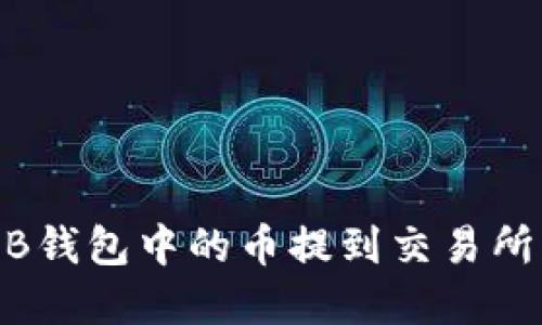 如何将TP的BNB钱包中的币提到交易所?完整操作指南