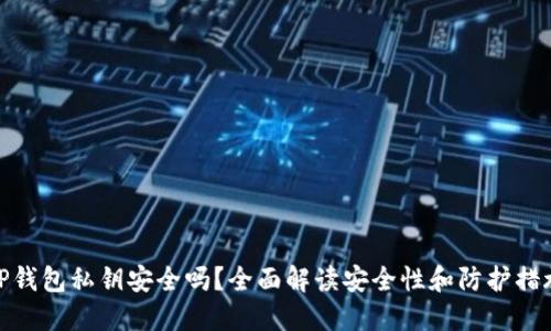 TP钱包私钥安全吗?全面解读安全性和防护措施