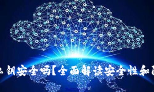 TP钱包私钥安全吗?全面解读安全性和防护措施