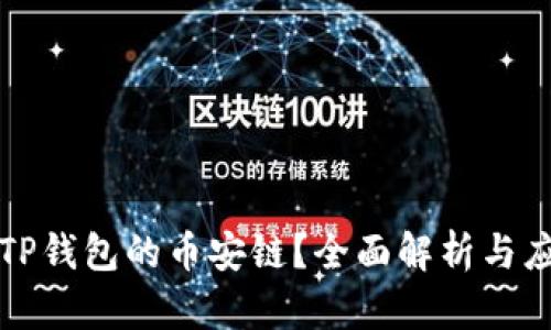 什么是TP钱包的币安链?全面解析与应用指南