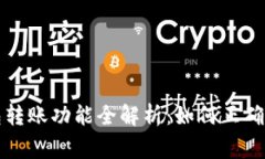 TP钱包观察钱包转账功能全解析:如何正确使用与