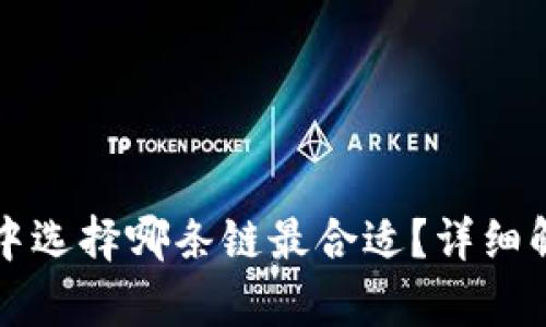 屎币在TP钱包中选择哪条链最合适?详细解析与用户指南