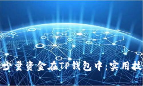 如何安全管理少量资金在TP钱包中:实用技巧与注意事项