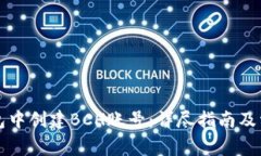 如何在TP钱包中创建BCH账号:详尽指南及常见问题