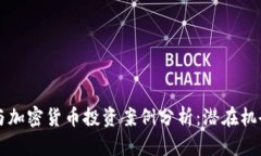 区块链与加密货币投资案例分析:潜在机会与挑