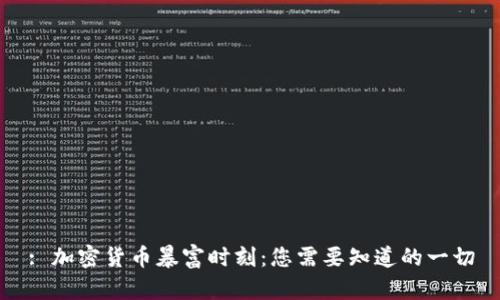 : 加密货币暴富时刻:您需要知道的一切