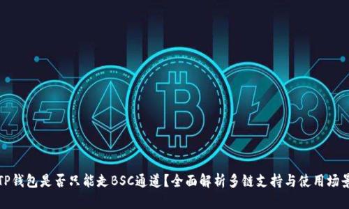 TP钱包是否只能走BSC通道?全面解析多链支持与使用场景