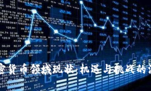 美国加密货币领域现状:机遇与挑战的深度解析
