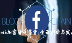 Bithumb加密货币筹资:全面剖析与发展前景