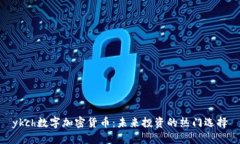 ykch数字加密货币：未来投资的热门选择