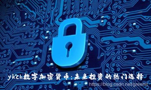 ykch数字加密货币：未来投资的热门选择
