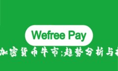 2023年加密货币牛市:趋势分析与投资策略