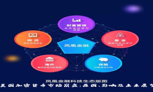 美国加密货币市场崩盘:原因、影响及未来展望