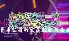 中国加密货币公司的发展现状与未来前景分析