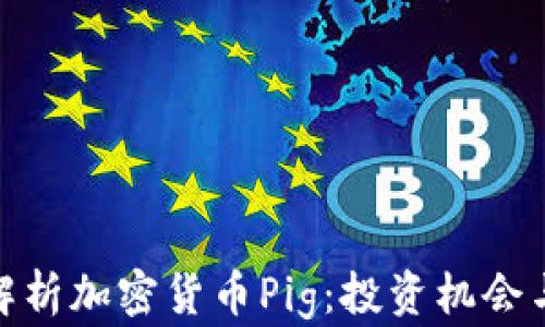 全面解析加密货币Pig:投资机会与风险