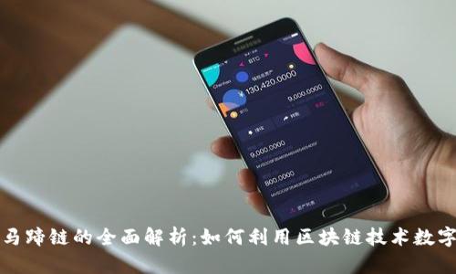 TP钱包与马蹄链的全面解析:如何利用区块链技术数字资产管理