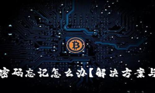 TP钱包密码忘记怎么办?解决方案与全解析