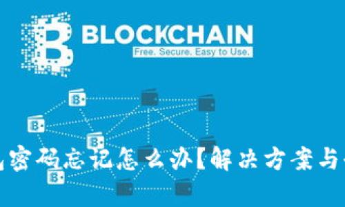 TP钱包密码忘记怎么办?解决方案与全解析