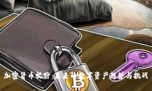 加密货币视野:未来的数字资产趋势与挑战
