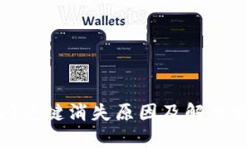 TP钱包闪兑键消失原因及解决方案详解