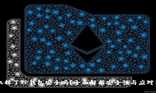 手机掉了TP钱包安全吗？全面解析安全性与应对策略